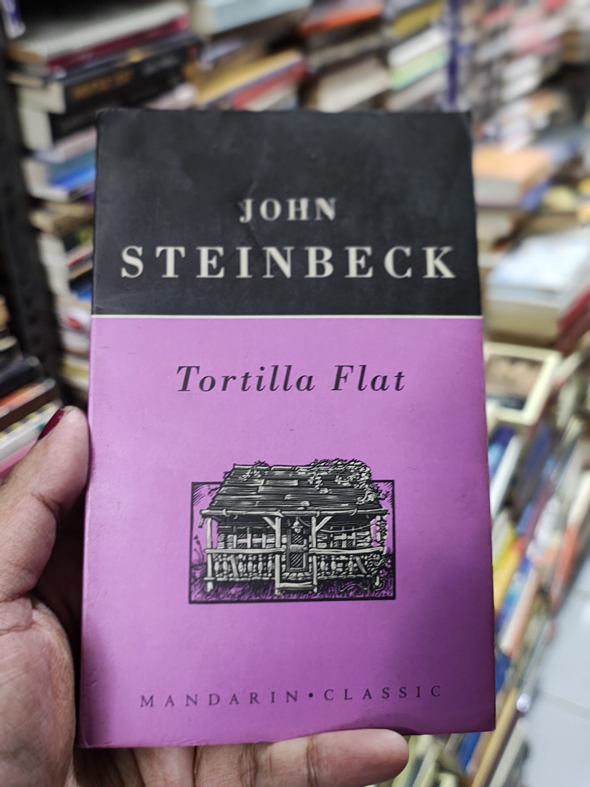 A Serendipitous Find in Bangalore